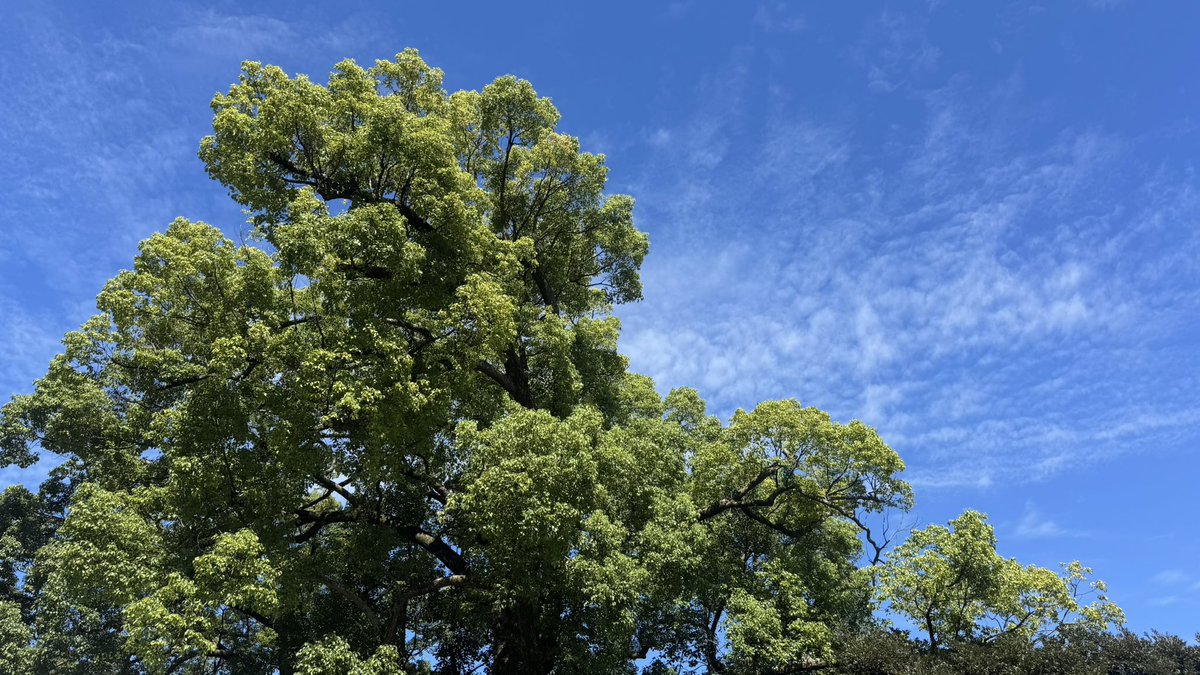 smk_ria_'s tweet photo. 江ノ島行ってきたけれど、SHE'S｢Letter｣の聖地というのも感慨深く散策してきた〜
台風明けの澄み切った青い空が贅沢だった🎖

やっぱり大好きな曲、心に留めておきたい曲🔖
ツアーで聴けるかなあ、楽しみ◎ https://t.co/21WoOw3FXd