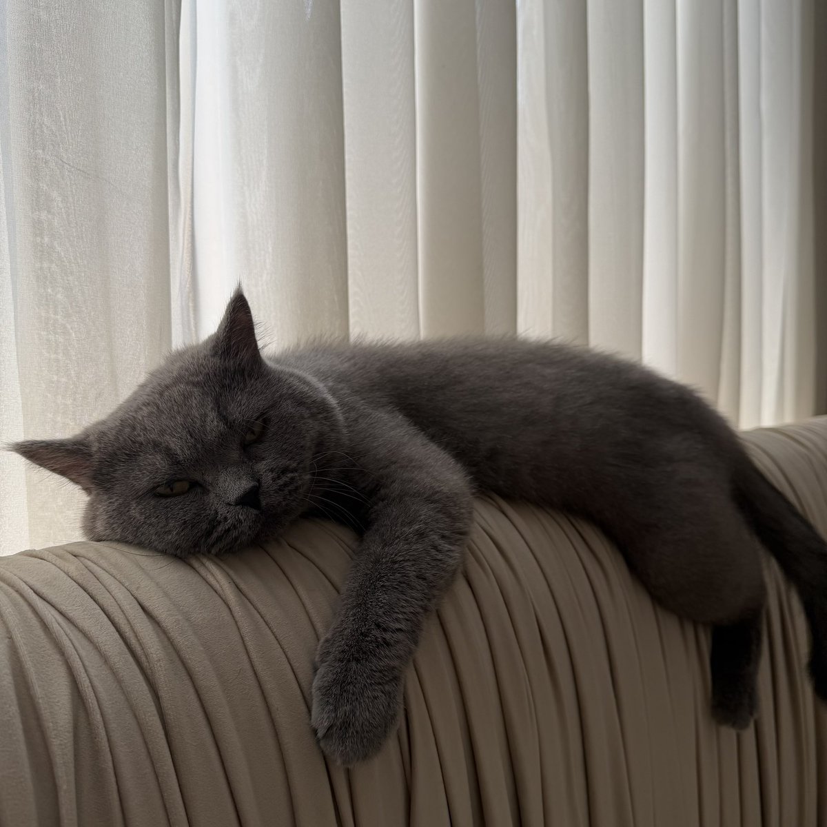Preuuye's tweet photo. 💤 https://t.co/NmZOzCWmbd