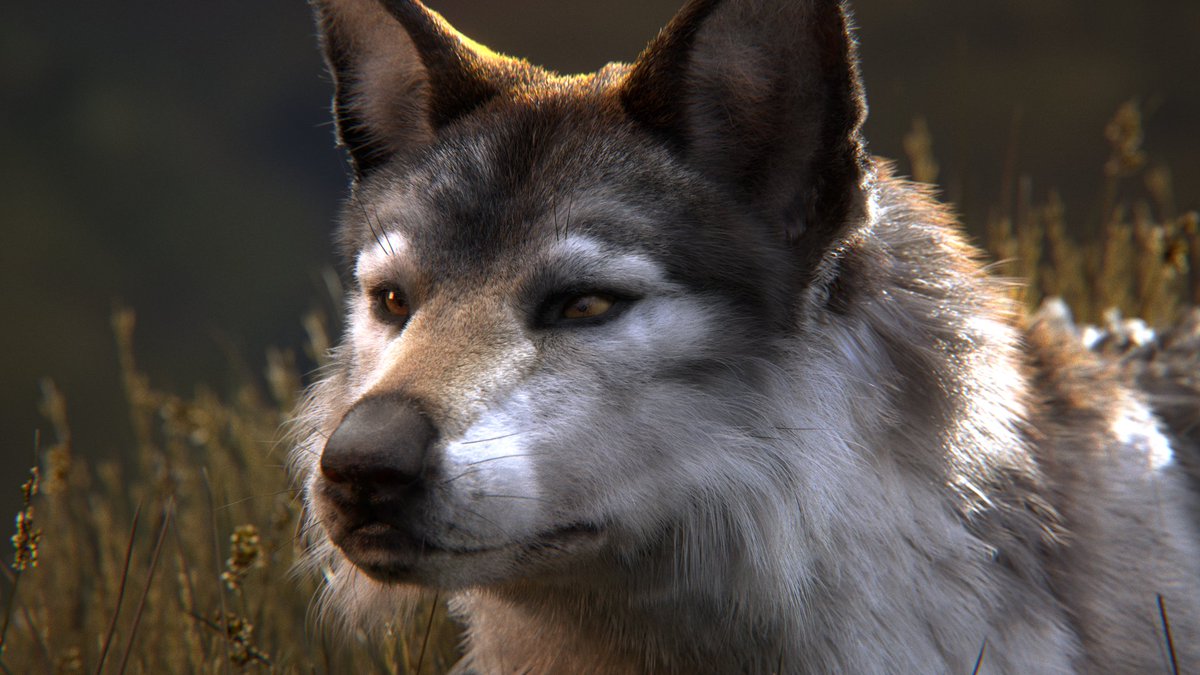 Fellfallow_Art's tweet photo. Open for more! 👀⤵️ https://t.co/bmcAI5NcYN