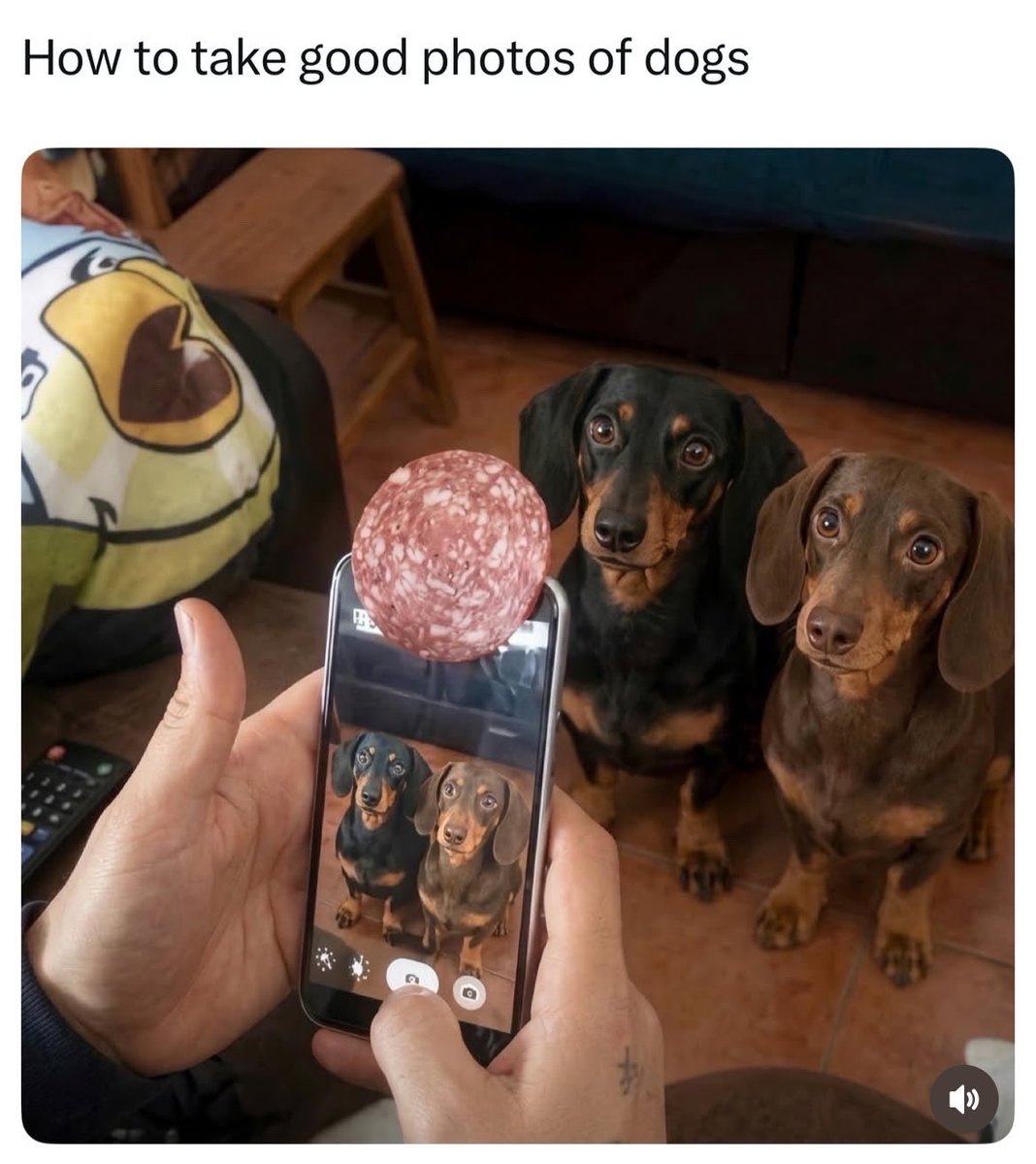 thepunbible's tweet photo. https://t.co/2dm1ssz3z3
