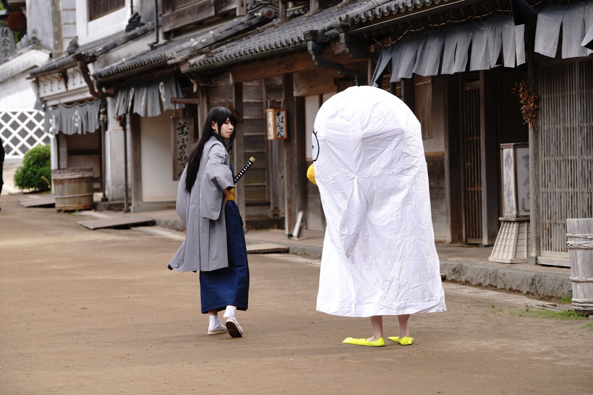 c_howa2's tweet photo. 【cosplay】銀.魂/桂&amp;エリー

一般通過女児👧(御両親に向かって大声)
「あ！ねーねー!!知ってる?!あの中人なんだよ！さっき被るの見たよ！」

町中歩いてる感じで撮りましょうとなってた所、遠くから聞こえてきて皆で笑ったの2.3枚目撮ってくださってた🤣

「エリザベスに中の人など居ない!!」 https://t.co/cw59fGD8z6
