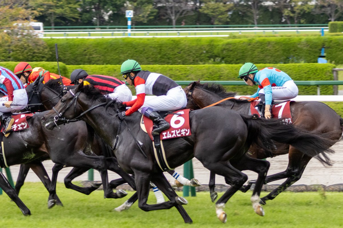 __tpuma's tweet photo. 2026.09.21
神戸新聞杯

エムズビギン
武豊騎手
友道康夫厩舎
エムズレーシング

📍阪神競馬場 https://t.co/rTDk3OVX9J