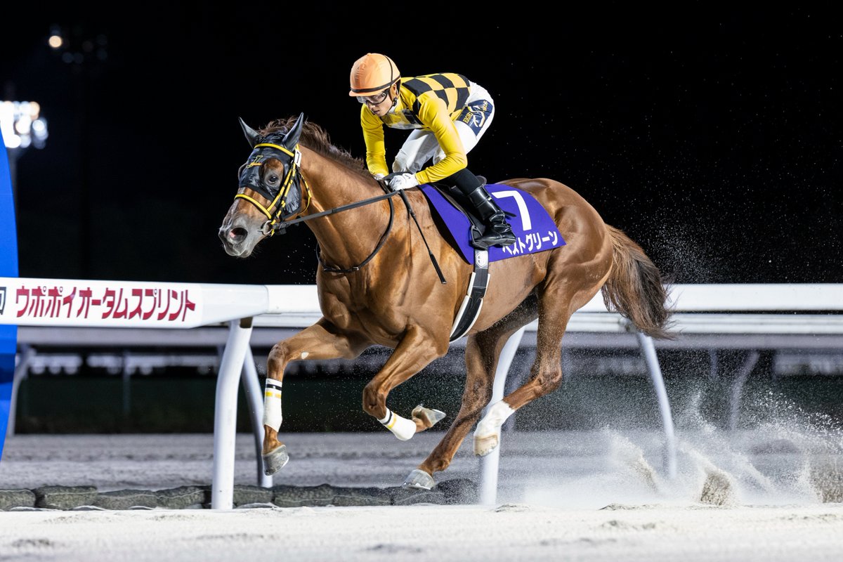 nar_keiba's tweet photo. 【#ウポポイオータムスプリント 写真速報】
本日、門別競馬場でウポポイオータムスプリントが行われ、落合玄太騎手騎乗のベストグリーンが優勝しました。現地からの写真をお届けします。競走成績はこちら↓
https://t.co/edH9MpMSYF https://t.co/RomgCDQm7B