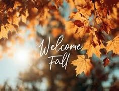JohnnySportsMan's tweet photo. So long Summer! Welcome Fall! https://t.co/9XzD9VLYzm