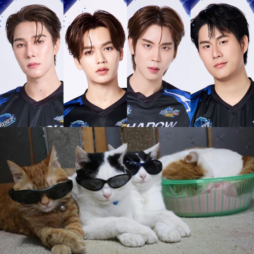 Beaywoo's tweet photo. แล้ววินนี่คืออยู่ในตะกร้าหลับอยู่ให้พี้ๆๆๆๆเลี้ยง 5555555555555555555555555555555555555555555555555555555ภาพชัดไปเปล่าวะ 555555555555555555555555 https://t.co/cW5BB2AvqK