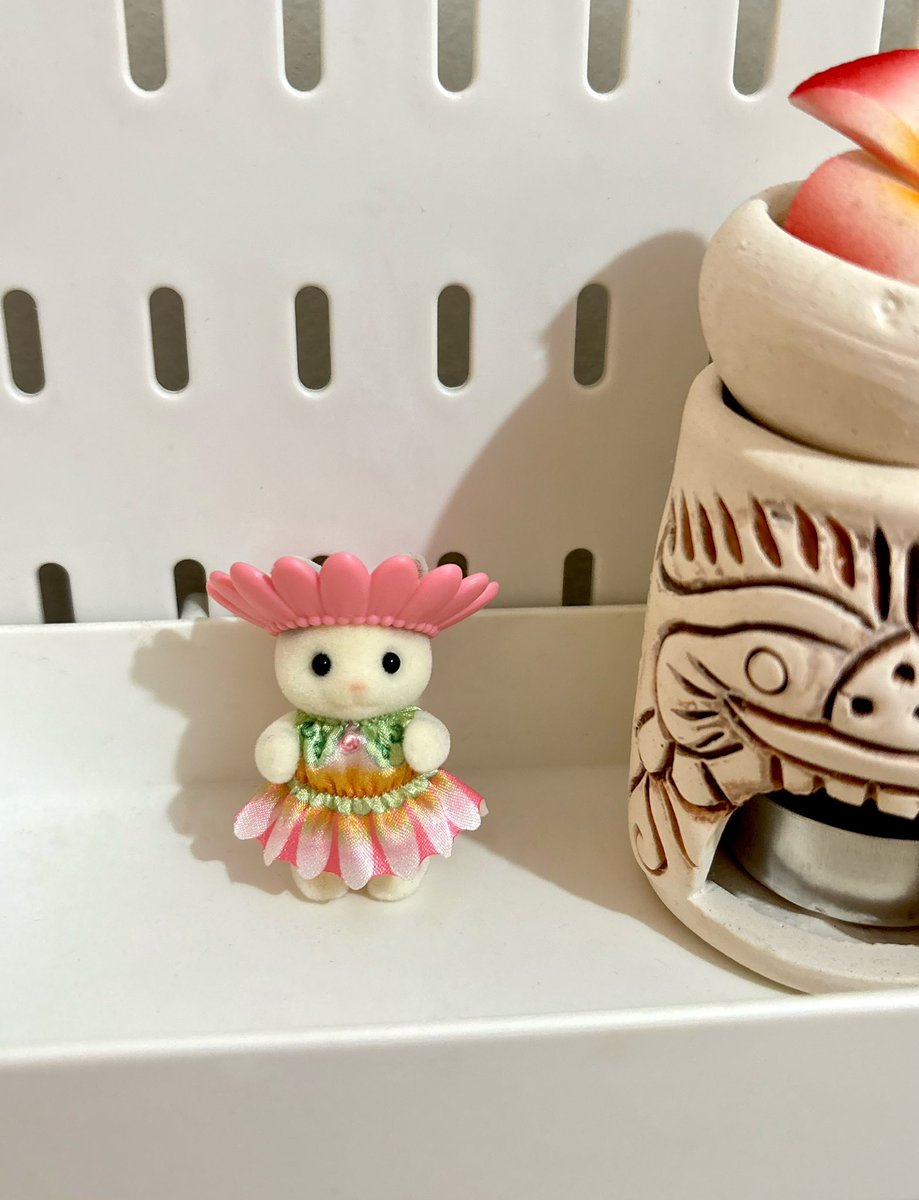 iounaraa's tweet photo. @calicokite hi kak aku ada latte cat flower hat 100k dan squirrel baby 50k https://t.co/OpXhXpmppC