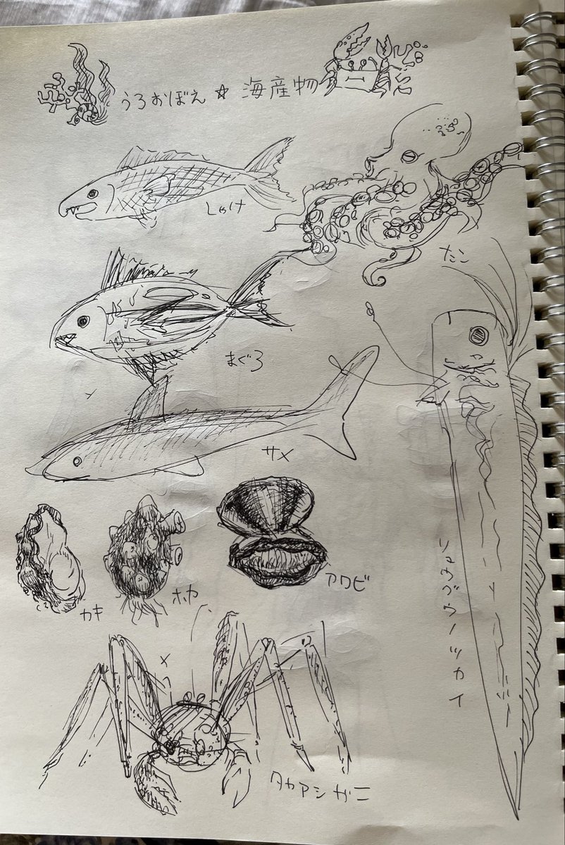 saiseria_note's tweet photo. こんなんしか描いてねえや
🐟🦪🦈🦀 https://t.co/82vSt2PrRb