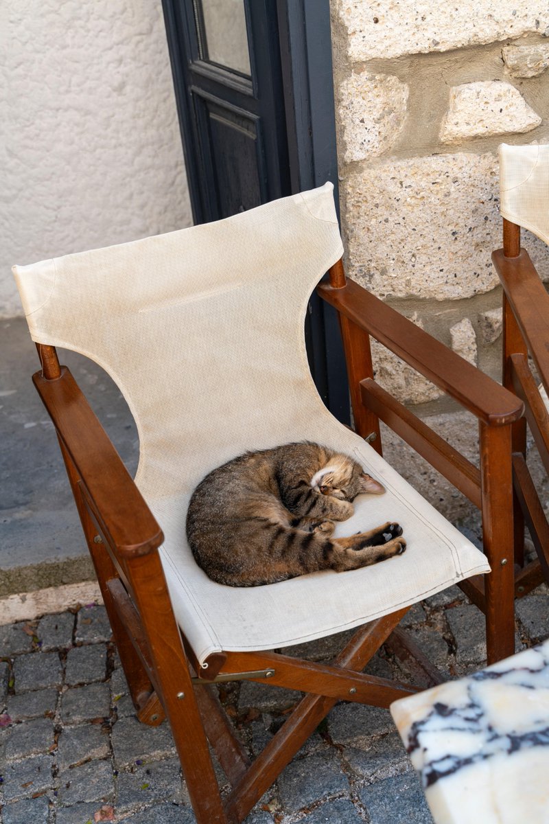 sumaga_etha's tweet photo. Just a random street corner find – late afternoon light filtering through shop awnings, a stray cat napping on a stacked wooden crate. Simple, unplanned, perfect little moment. https://t.co/MNFbpy68gx