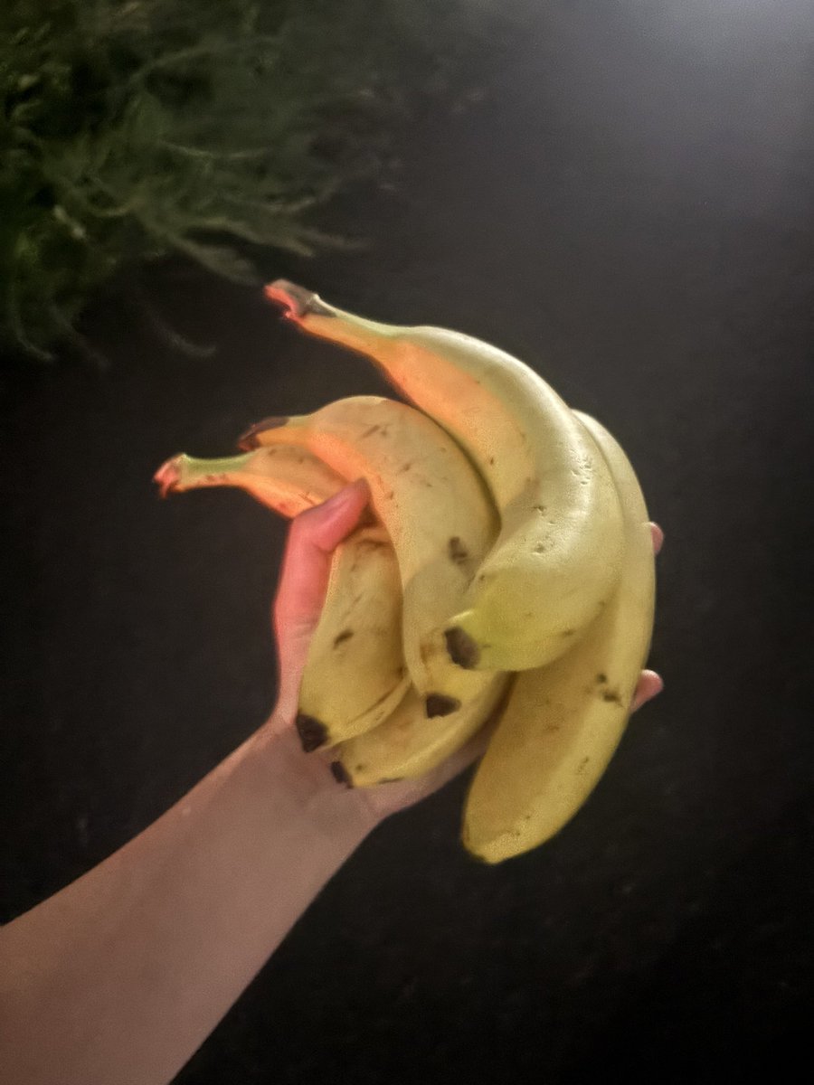 Ratflix_'s tweet photo. 仕事終わりにおつかれ！って手渡されたけど、もしかしてドンキーコングだと思われてる？ https://t.co/KgE38pw007