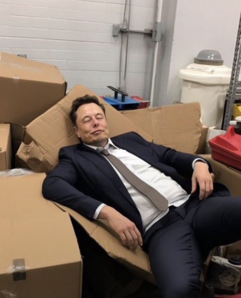 TESLACEOgl's tweet photo. If you walked in and saw Elon like this, what would you do? 👀 

A. Let him sleep 😴
B. Take a selfie 🤳
C. Wake him up ☕
D. Leave quietly 🤫 https://t.co/4JPRuSW2JA
