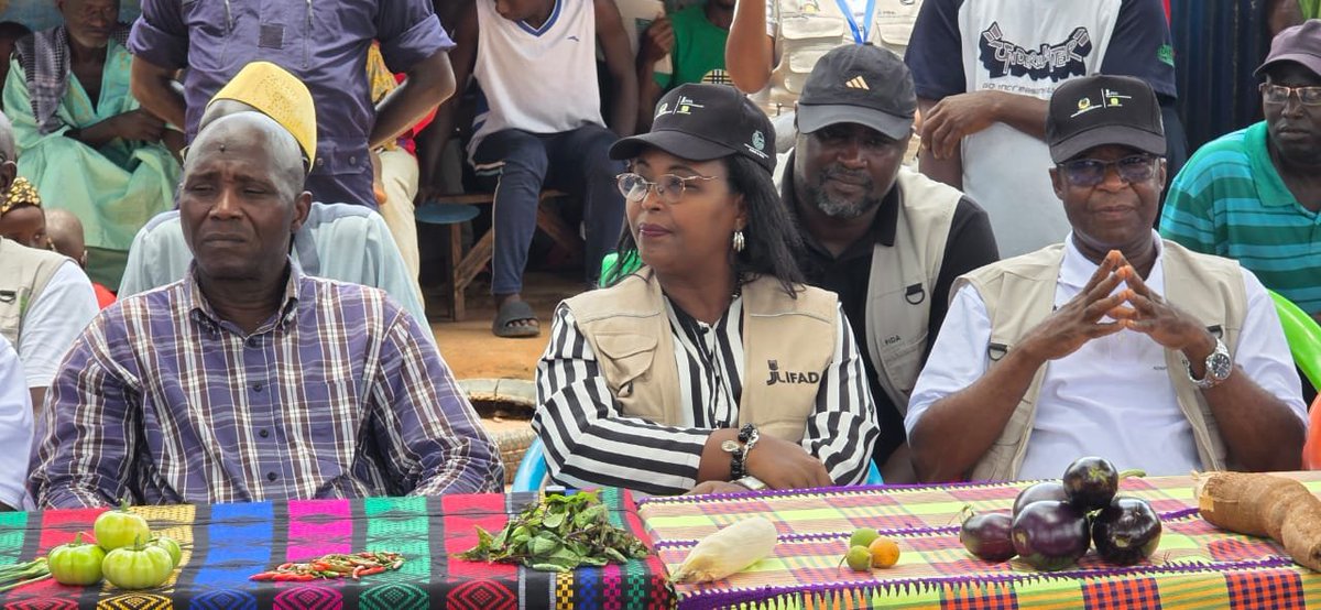 FIDAfriqueOuest's tweet photo. En #GuinéeBissau, la Directrice-pays du FIDA, Mme Pascaline Barankeba, a effectué sa première mission du 11 au 17 septembre. 

Au programme : renforcer le dialogue avec les autorités, suivre les investissements du FIDA sur le terrain et échanger avec les communautés rurales. 🌱 https://t.co/oB98w948aH