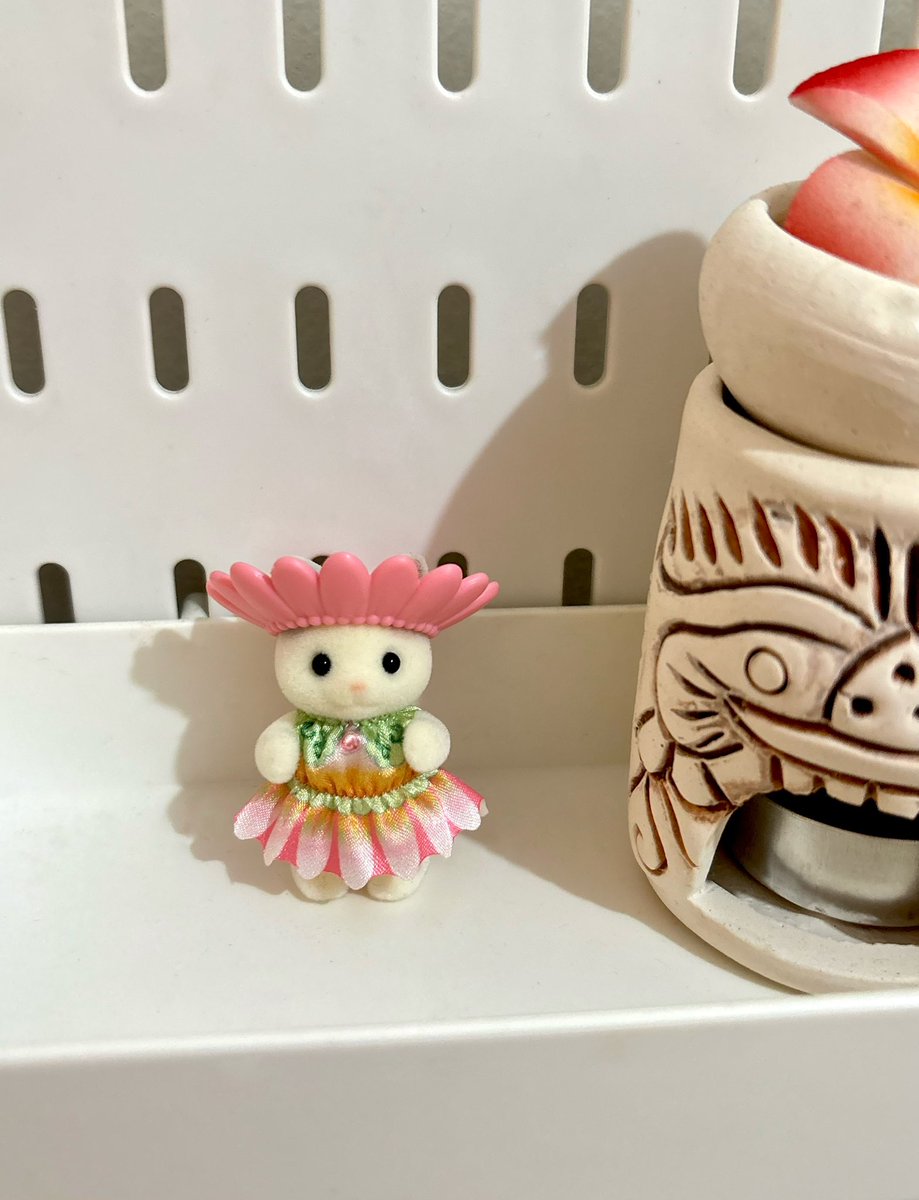 iounaraa's tweet photo. wts sylvanian families

latte cat flower hat 100k 
squirrel baby 50k https://t.co/8pbgFqfNiF
