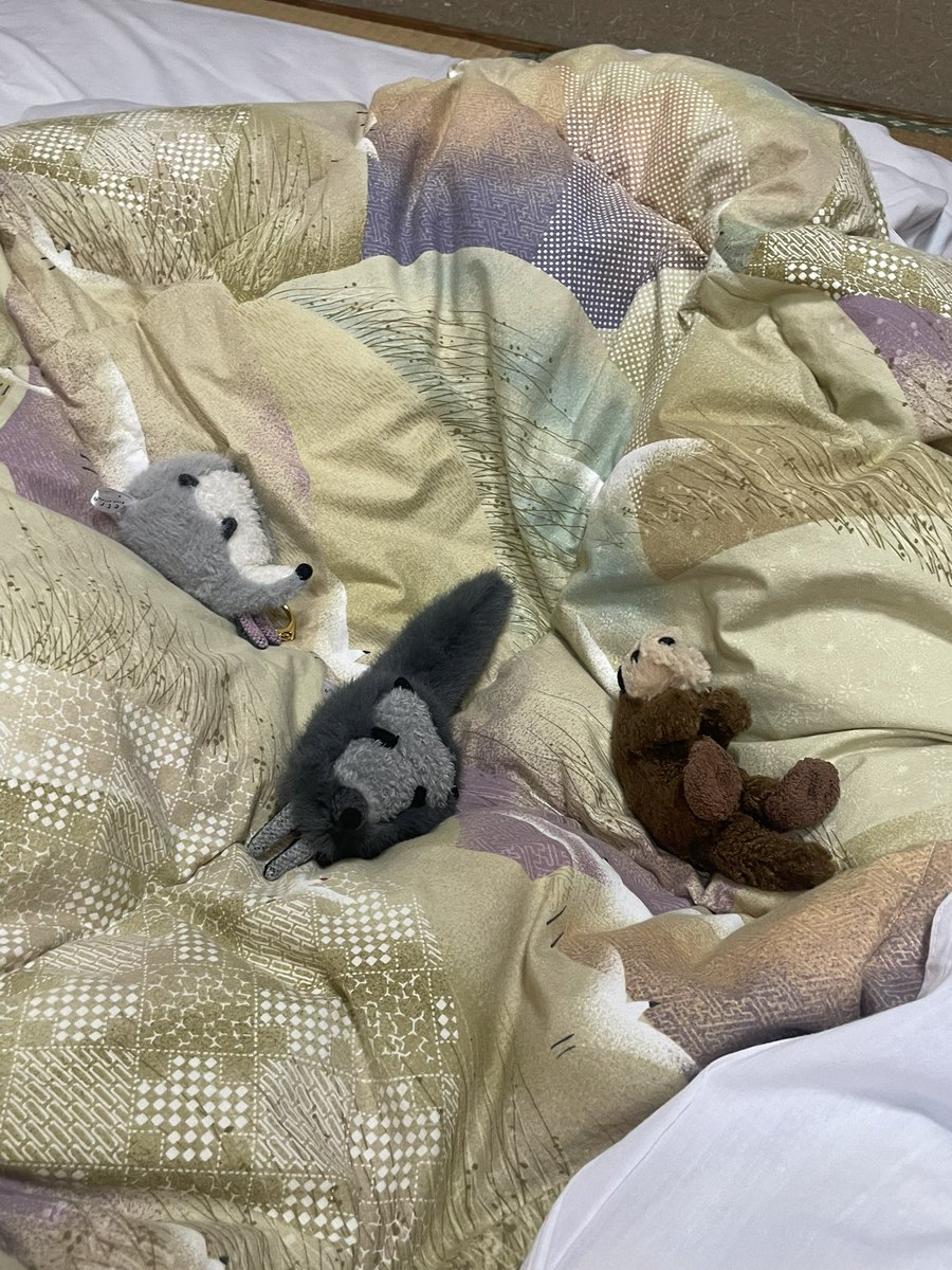 monmon_monchann's tweet photo. お宿だ！わーい！！🐺🐭🦦
#ぬい撮り #ぬい活 https://t.co/6GEg1Vi11g
