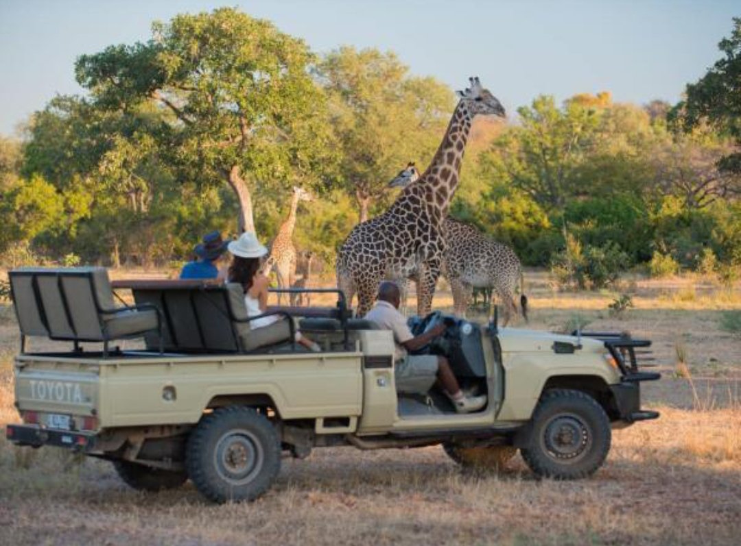 GracePhiri100's tweet photo. Zambia keeps reminding me that tourism is more than just a trip 🇿🇲🌿 Victoria Falls, wildlife, and endless landscapes make you feel like you’re stepping into another world I really hope more people discover this hidden gem of Africa because it deserves to be seen 🤍

#Zambia https://t.co/pbkzspmnYV