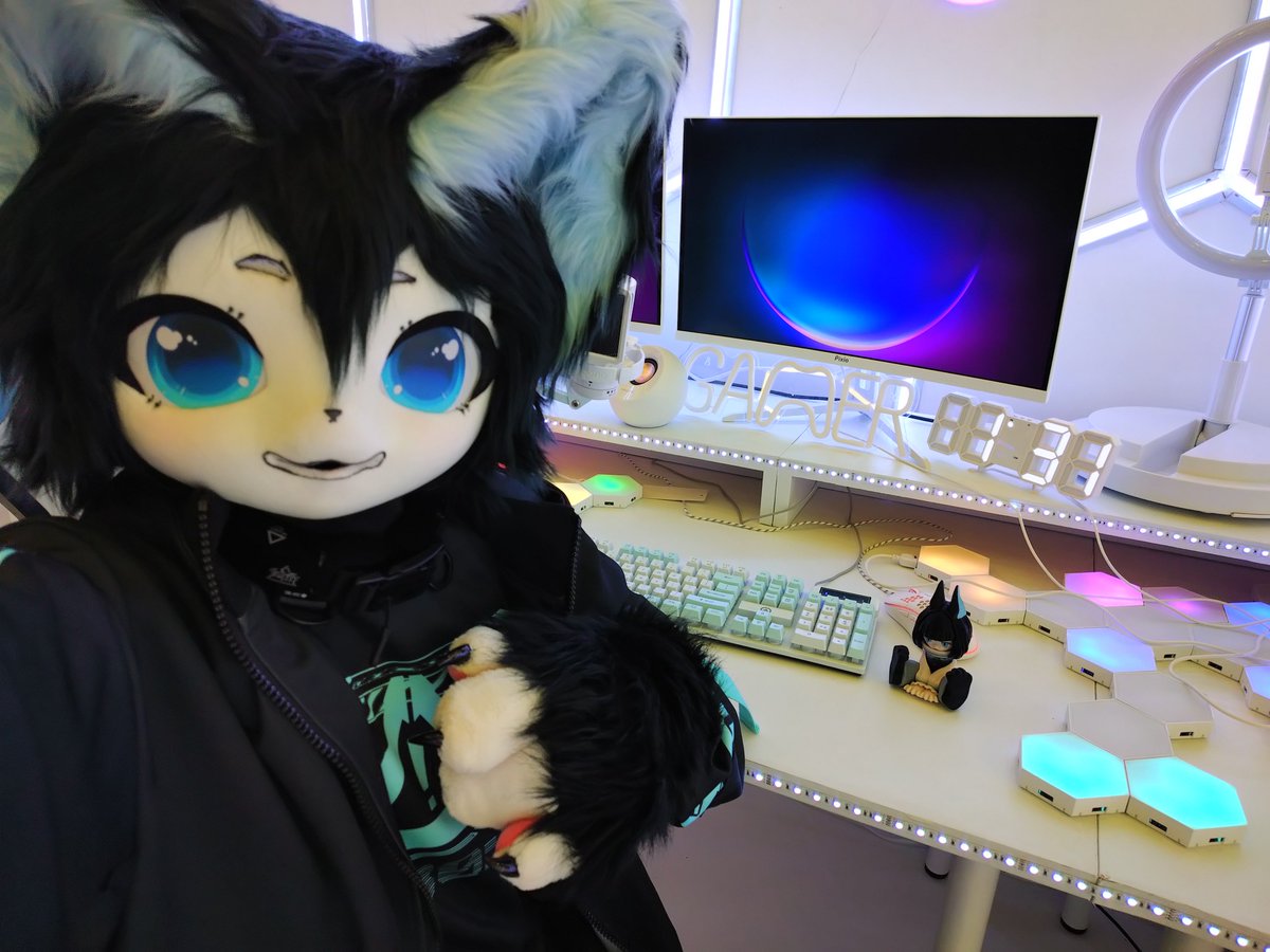 memorio_kemo_11's tweet photo. そくほ！ https://t.co/p3oiepjRex
