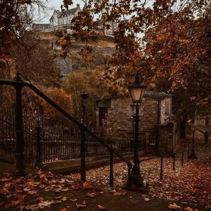 AladiaFlies_'s tweet photo. ─ ⊹ ˚ ୧ 🍂 ୨ ˚ ⊹ ─ 
    𝐴𝑙𝑎𝑖𝑑𝑎 • 15 • 𝑠ℎ𝑒/ℎ𝑒𝑟 
𝐷𝑛𝑖-𝑛𝑠𝑓𝑤, 𝑛𝑜𝑟𝑚𝑎𝑙𝑡𝑤𝑡, 𝑠ℎ𝑡𝑤𝑡 
      ♡ + ↺ 𝑡𝑜 𝑏𝑒 𝑚𝑜𝑜𝑡𝑠
         𝐼𝑟𝑙 𝑎𝑛𝑔𝑒𝑙 🪽•̩̩͙*˚⁺‧͙
    ─ ⊹ ˚ ୧ 🍂 ୨ ˚ ⊹ ─ 
#edrtwtㅤ #promo #mootsㅤㅤ #intro https://t.co/hEEyok6xwa