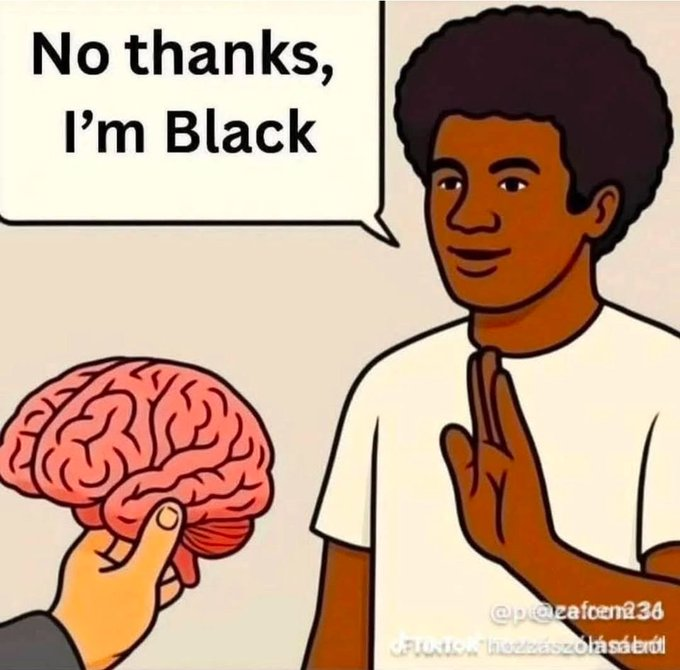 gogar6s's tweet photo. @Chimpnnout #blacks https://t.co/f2WnBb3shl