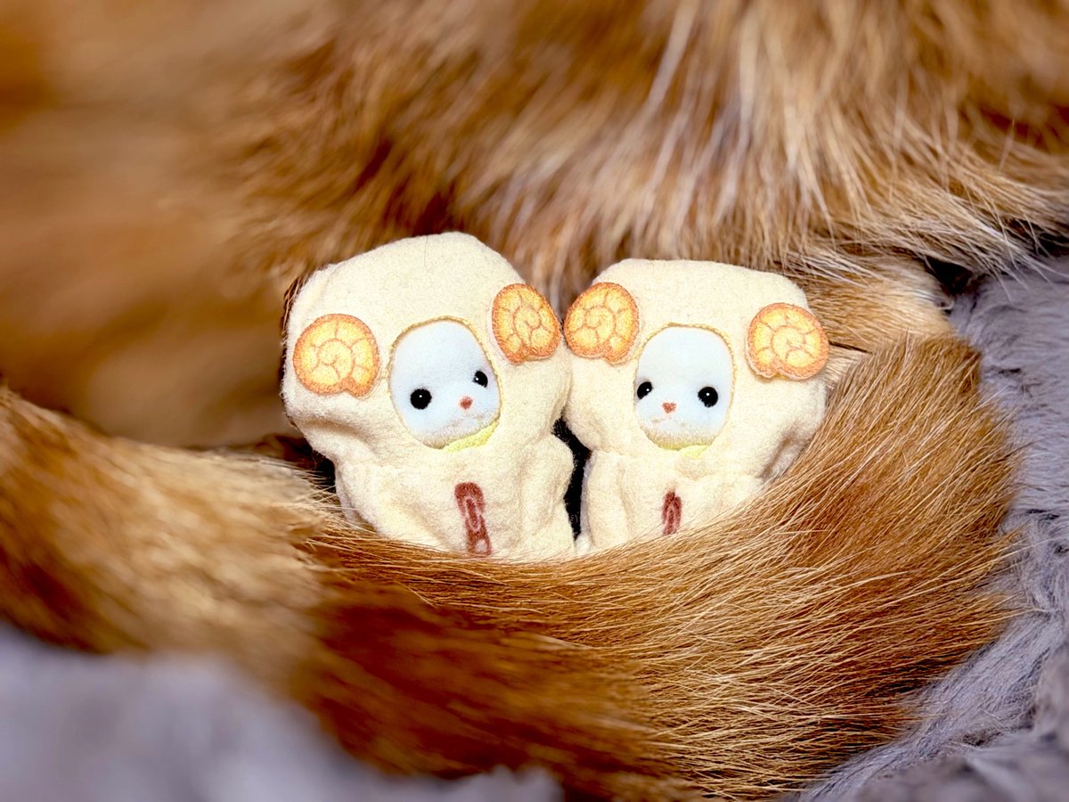 mina_4637_'s tweet photo. 猫ってご自身もふわふわなのに
ふわふわなものが好きなの本当に可愛すぎる♡
新しいブランケットをプレゼントしたら気に入ってくれたご様子🐱

4枚目はシルバニアのくじで当たった
とても可愛いフレンチブルドッグの赤ちゃん×２ https://t.co/zZm1nvl1sQ