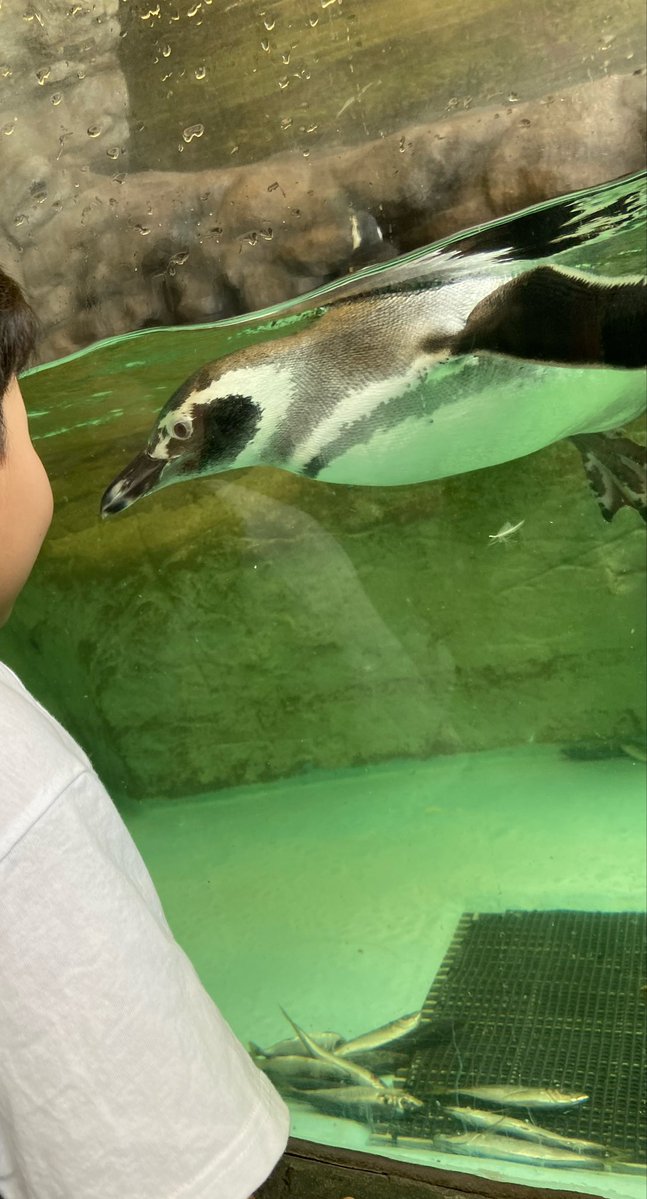 89yume69's tweet photo. 天気が良い中の久々のお出かけ。エリックカールとのコラボもかわいすぎたー♡
水族館の余韻なのかパンクスだからなのか、パパはトキントキンのウニになってそのまま調布に旅立ちましたとさ！！！笑 https://t.co/MEpiTquM5N