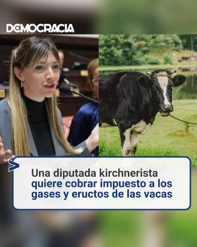 hernangonz857's tweet photo. @juanrallo @edugaresp no sirve de mucho que Milei baje impuestos cuando tenes a una gran parte del estado argentino gobernado por la izquierda, que literalmente quieren ponerle impuestos hasta los pedos de las vacas https://t.co/yjWfwbsdyt