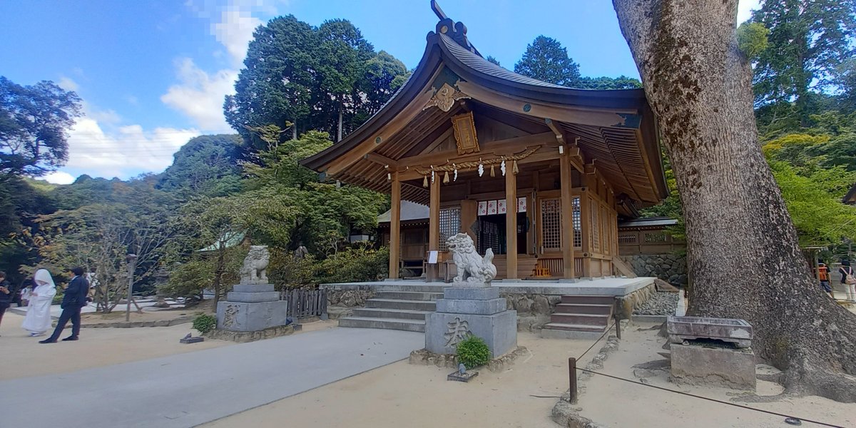 izayoi_07's tweet photo. 今日は母上と大宰府＆初めての竈門神社行ってきた〜(*´꒳`*)
結婚式もしてて花嫁さんとか居たし 
幸せお裾分けしてもらった気分ꯁꯧ https://t.co/zZKCLlZalY