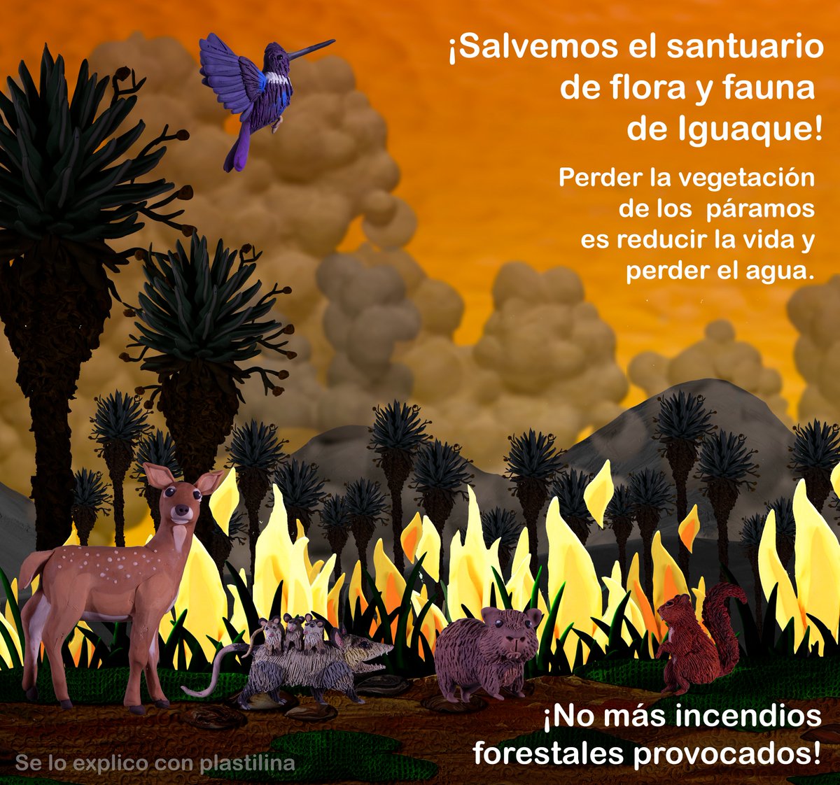 altereddie's tweet photo. Hay muchas teorías sobre el inicio de los incendios en esta zona, en la práctica quienes estamos perdiendo somos nosotros, la fauna y la flora.  ¡Salvemos el santuario de flora y fauna de Iguaque! https://t.co/Zs94mwpfTS