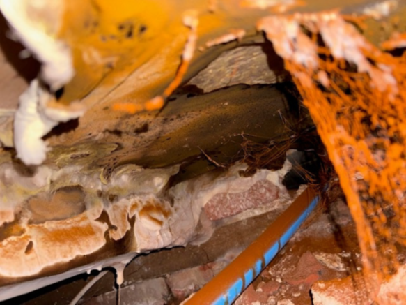 Timberwise tweet picture