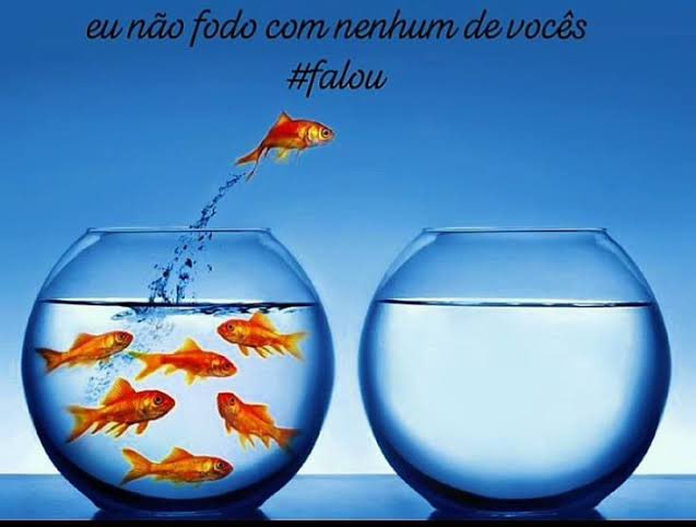murphyzete's tweet photo. @ducr1234 amigo amo suas opniões controvérsias apesar de discordar de todas elas https://t.co/DJZfnuONN9