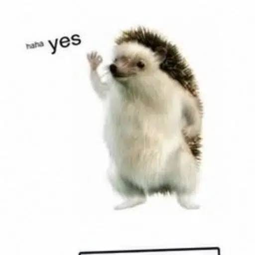 thealexmorgan15's tweet photo. The meme is "Haha Yes" and is the same as "Such Wow" for doge

We all know the name is Rizo. Should run it as dogecoin

Mascot for telsa

https://t.co/rWRi20FOw2 https://t.co/jWW9rRc3wx