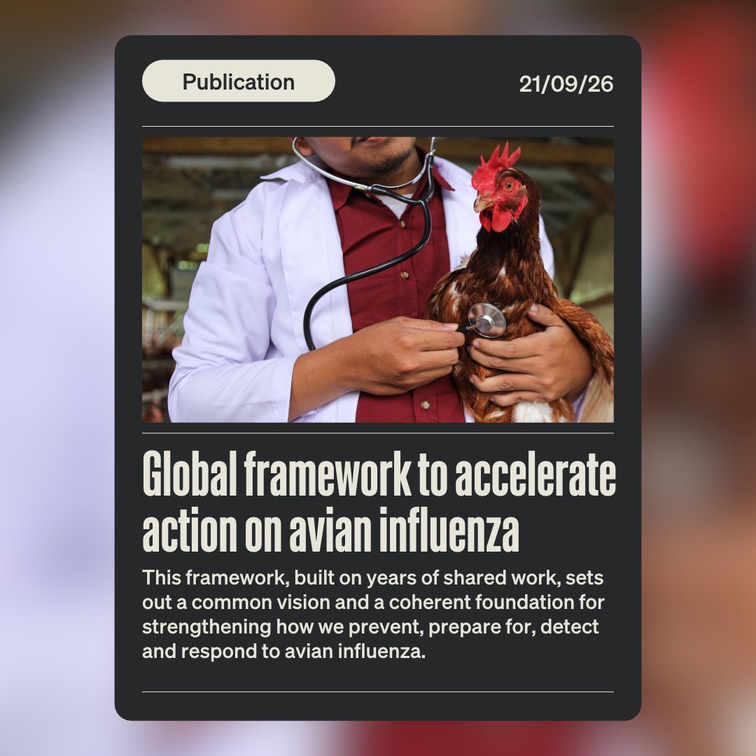 WOAH's tweet photo. Along with @FAO, @WHO and the Convention on Migratory Species (@BonnConvention), we have developed a joint Strategic Framework to strengthen coordination and accelerate collective action on avian influenza under a One Health approach.

This framework is built on years of shared work, common learning and joint action. It sets out a common vision and a coherent foundation for strengthening how we prevent, prepare for, detect and respond to avian influenza – across sectors, borders and regions. 

Take a look: https://t.co/mS9ucw41OP