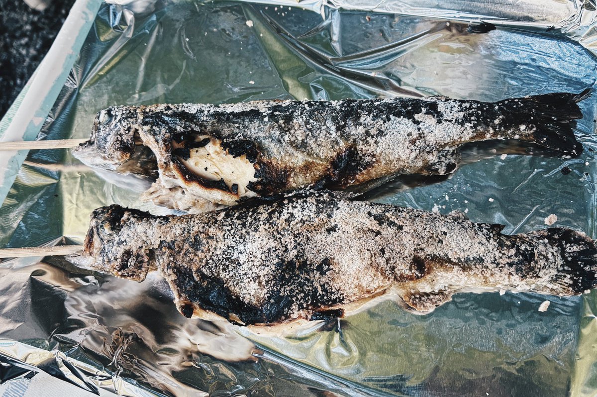 Muumlip's tweet photo. 魚食べてきた https://t.co/BVvDSwbBAY