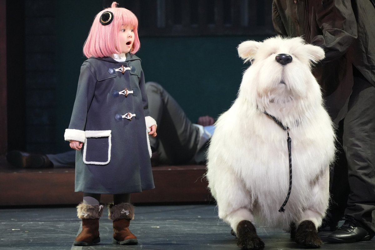 spyfamily_stage's tweet photo. ミュージカル
『SPY×FAMILY ２ 爆弾犬篇＆豪華客船篇』🐶🚢

🗼東京建物Brillia HALL にて絶賛上演中❗️

📅本日9/23(水・祝)の公演
⏰12:30開演の部
⏰17:45開演の部

本公演開幕記念
来場者全員プレゼントあり🎁
ご来場をお待ちしております✨

#ミュージカルSPY

https://t.co/wM5eP6p57g https://t.co/aEs7VoV0t7