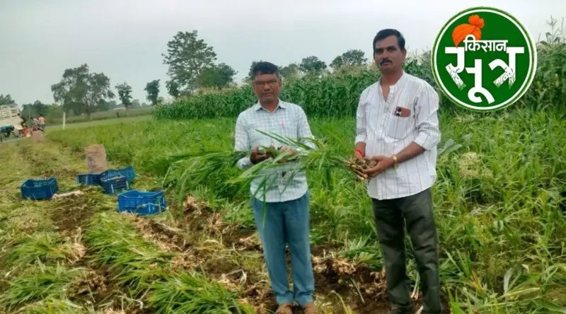 kisansootr's tweet photo. एमपी में ड्रिप सिंचाई से छोटी जमीन पर अदरक की खेती, छिंदवाड़ा के किसान कृपाराम को 15 लाख का बड़ा मुनाफा
. 
#kisansootr #अदरककी��ेती #ड्रिपसिंचाई #किसानकीसफलताकहानी #छिंदवाड़ाकिसान #कृषिमेंनयीतकनीक
. 
https://t.co/w3FIZw20Ks https://t.co/f6stQiq6Ze