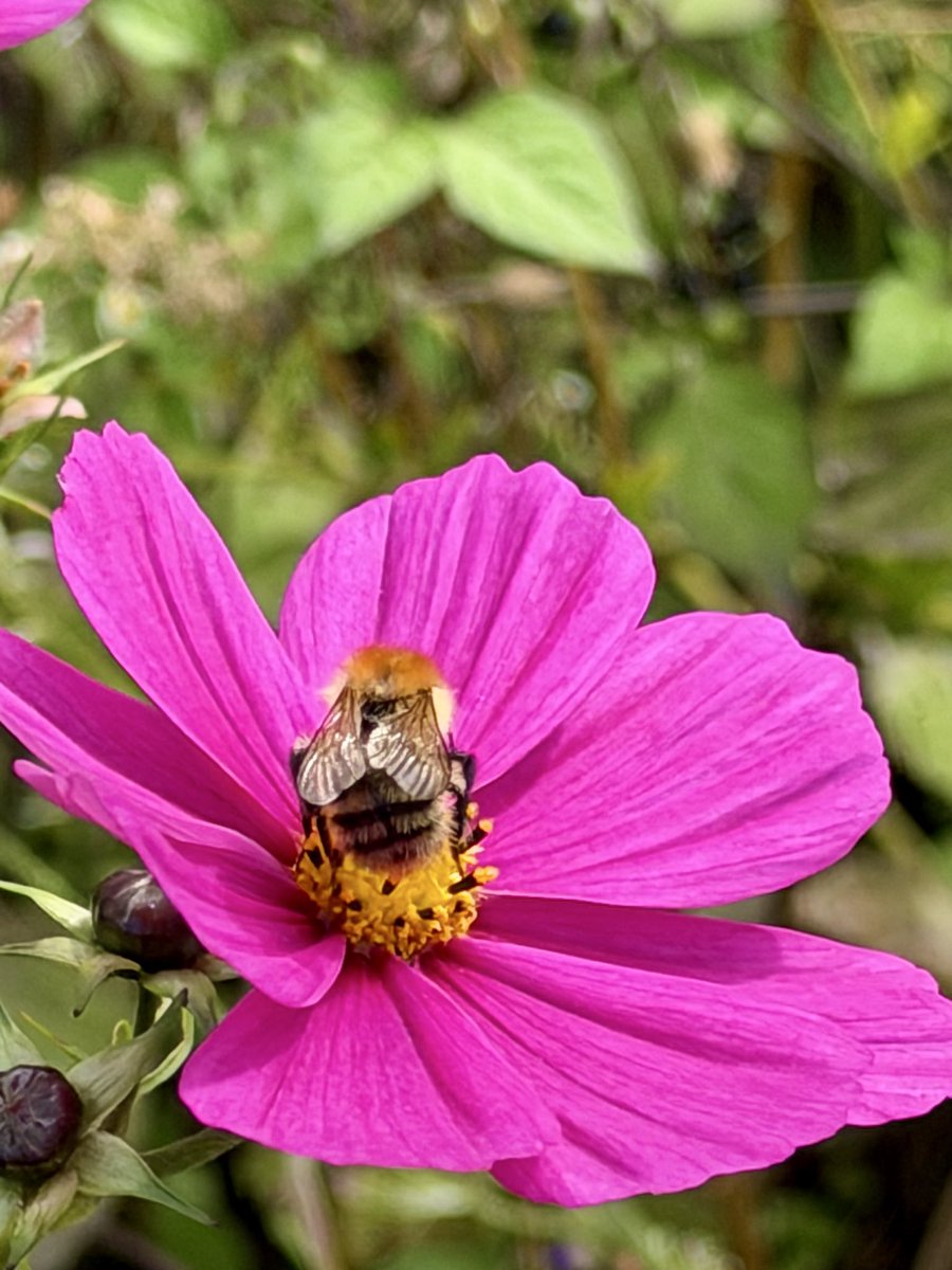 Knowingvillages's tweet photo. A friend, much wiser than me, said to me recently, “Nature always has the best expressions of beauty” https://t.co/KbHCXKgsov