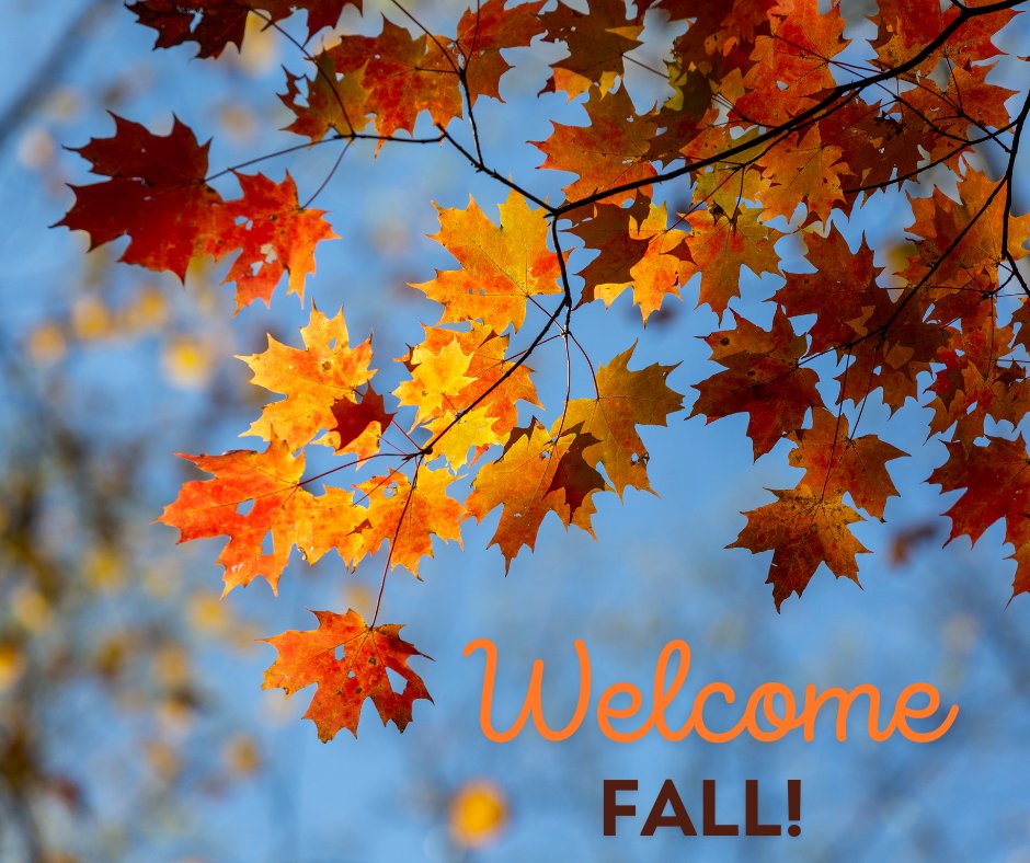 HCHC2020's tweet photo. 🍂 Happy First Day of Fall, everyone! 🌰✨ Let’s embrace the cozy vibes of crunchy leaves, warm sweaters, and pumpkin spice everything! 🍁🧣 Cheers to new beginnings and a season full of gratitude! 🥳❤️ #FallVibes #HelloAutumn https://t.co/fIXA3AAf84