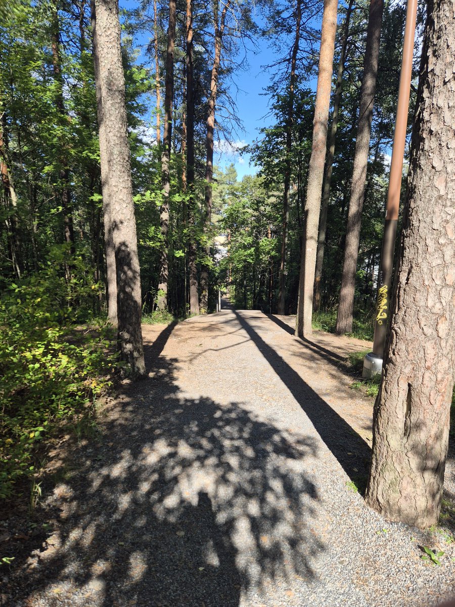 bayvel_p's tweet photo. Thank you for inviting me @EOS_AM ! It was definitely my favourite conference for a while! As I already said, #photonics in #Finland is good for the soul! https://t.co/V98MGq3a8A