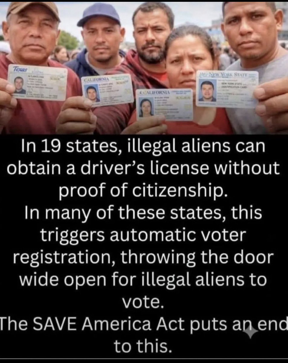 suz34175's tweet photo. @lsferguson @DoorDash We have 19 governors that didn’t think American taxpayers are worth protecting. They allowed illegals to get drivers licenses without being able to read the language. Also, they could just register them to vote.  So our safety is less important than the Democrats cheating. https://t.co/x4IgBPvcI2