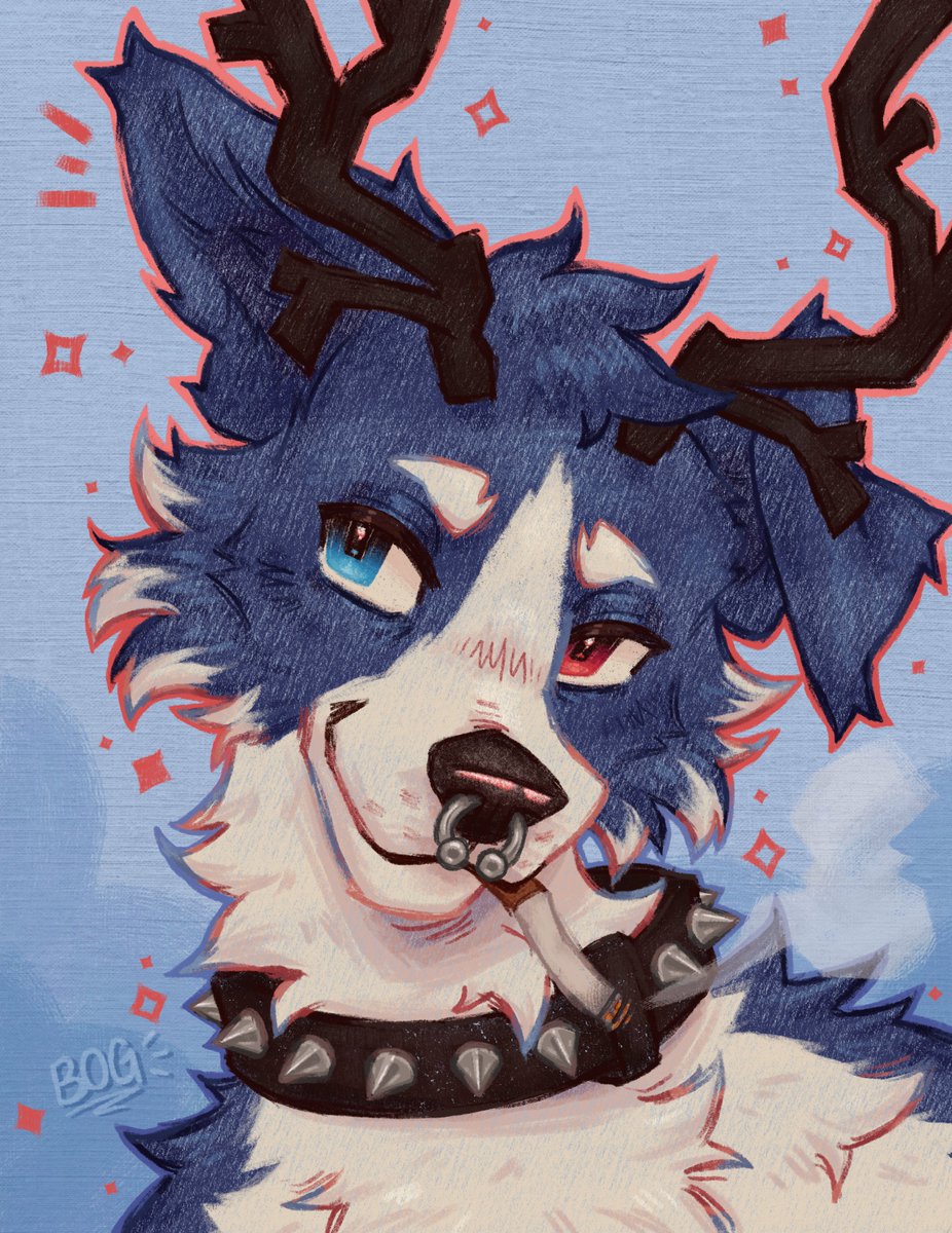 b0gbogbog's tweet photo. deerdog deerdog deerdog deerdog https://t.co/A5hhX1cc6w