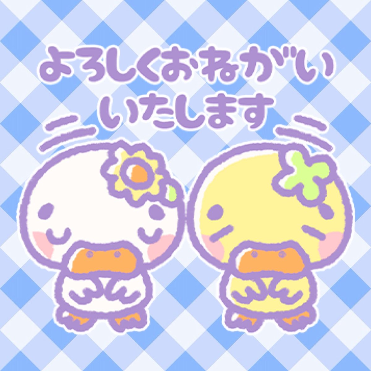 kappy_vtuber's tweet photo. こんかぴ！
執筆系の締切が迫っており、現在一生懸命直し作業中のため本日の配信はお休みとさせていただきます🙏
どうぞよろしくお願い申し上げます🙇‍♂️ https://t.co/fWmUb5UJjo
