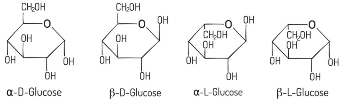 sertraline_'s tweet photo. @vital_amine_kei Refer: D and L sugars but ALSO how L-sugars are almost irrelevant to PhLE. That's the summary of those 5 minutes https://t.co/Qe9JpXPxFt