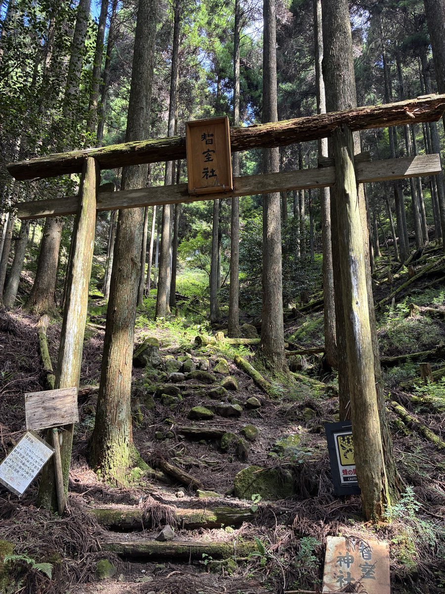 da1_homi's tweet photo. いい山だなぁ

#英彦山 https://t.co/syJ1YHzuwb