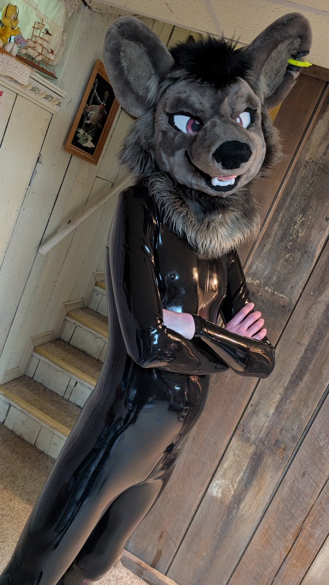 theSecurityWolf tweet picture