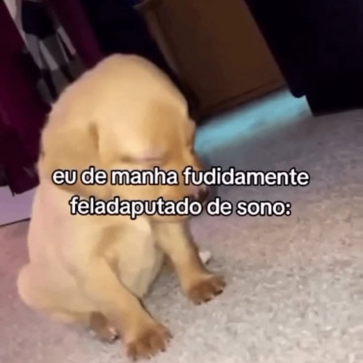 acervobichinho's tweet photo. https://t.co/gtdNL8UY1r