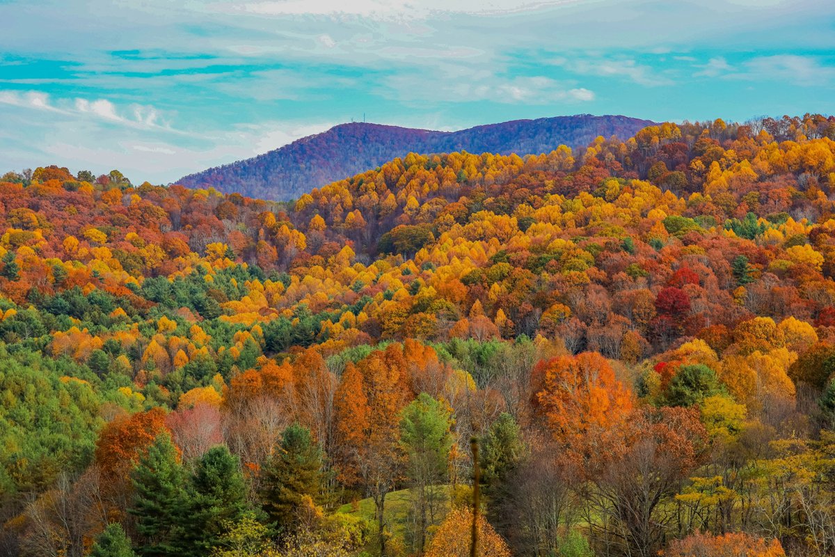IFlyRhodeIsland's tweet photo. Happy Fall! It's almost prime leaf peeping season. We might have some of the best fall foliage right here in our back yard, but you can also discover these elite fall destinations all from PVD! 🍂✈️ #FlyRI
🍁 Richmond, VA
🍁 Denver, CO
🍁 Greenville, NC
🍁 Columbus, OH
🍁 Minneapolis, MN
