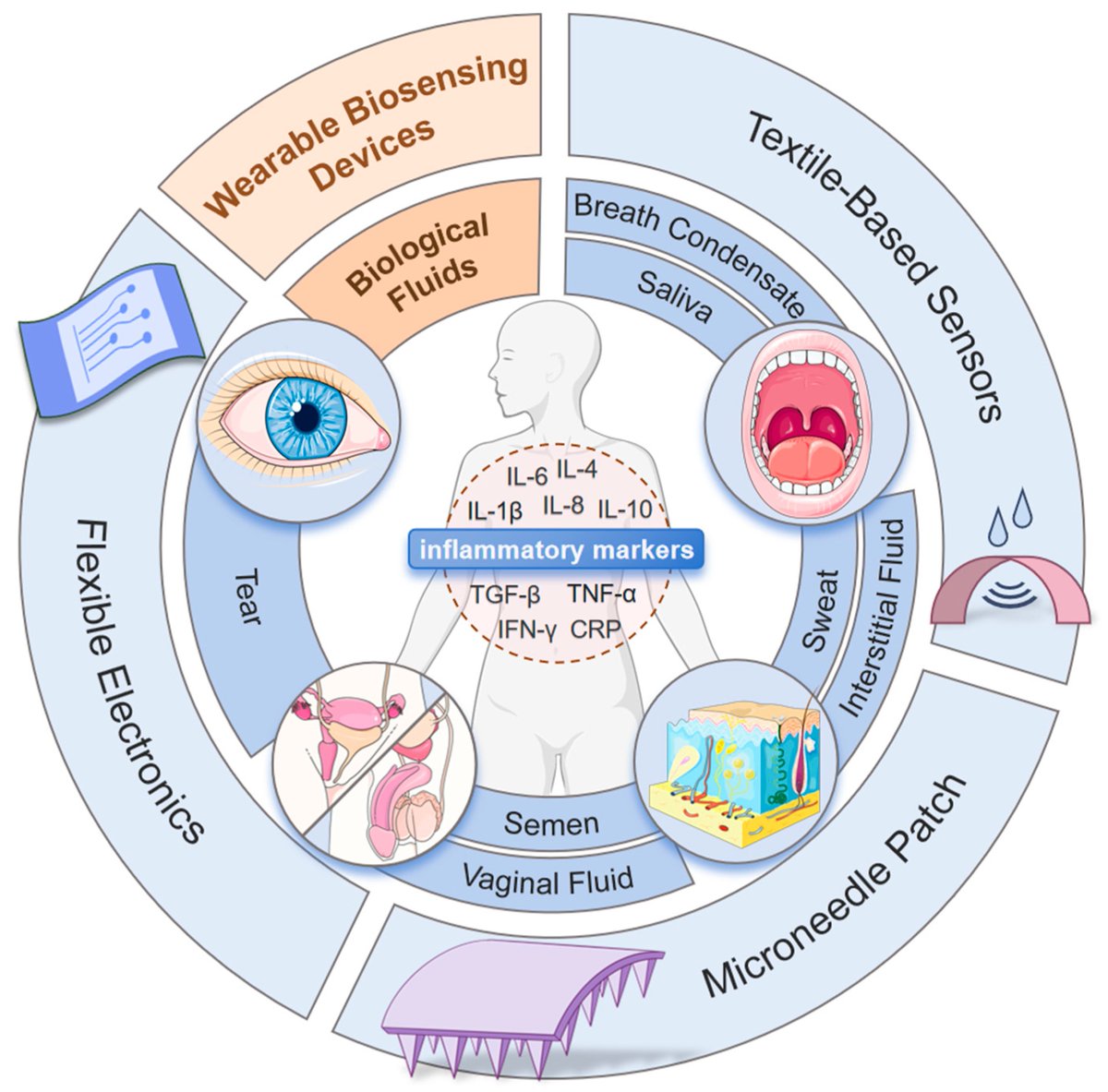 Biosensors_MDPI's tweet photo. 📣Call for Reading:
#Review
Non-Invasive #Wearables in #Inflammation #Monitoring: From #Biomarkers to #Biosensors
By Liu, G. et al.
https://t.co/XqtmM4Ynn5
#Biosensor #OpenAccess #Biosensing #Inflammation #Wearable #Sensors #Diagnostics #Biomarkers #Biological #Fluids https://t.co/44je9EwS3z