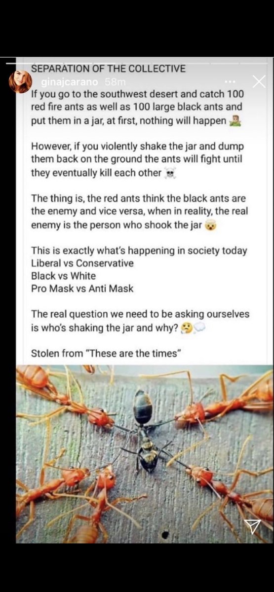 cupcakesNar15s's tweet photo. We need to UNIFY.
And join together in a peaceful protest of NON-PARTICIPATION. 

It’s the only way to turn this around.
We’ll NEVER vote our way out……..

AND — we keep taking the bait?
ALLOWING THEM to divide us into smaller & smaller groups?
(Next it’ll be who’s better? Blondes or brunettes…..  🫩)

WE WILL LOSE OUR AMERICA FOREVER.
We’re on the cusp now. 

Our UNITING ……
Is their worst nightmare.