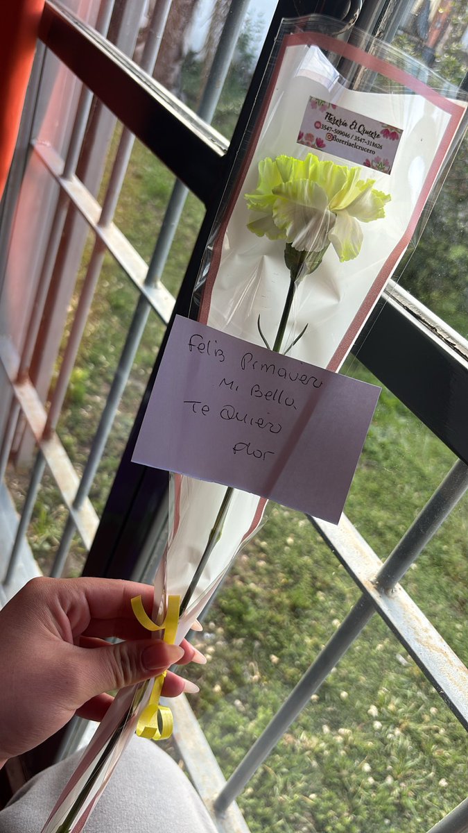 FlorrPereyraaa's tweet photo. Feliz primavera🥹😍🌼💛 https://t.co/r2j8xxTaJ1