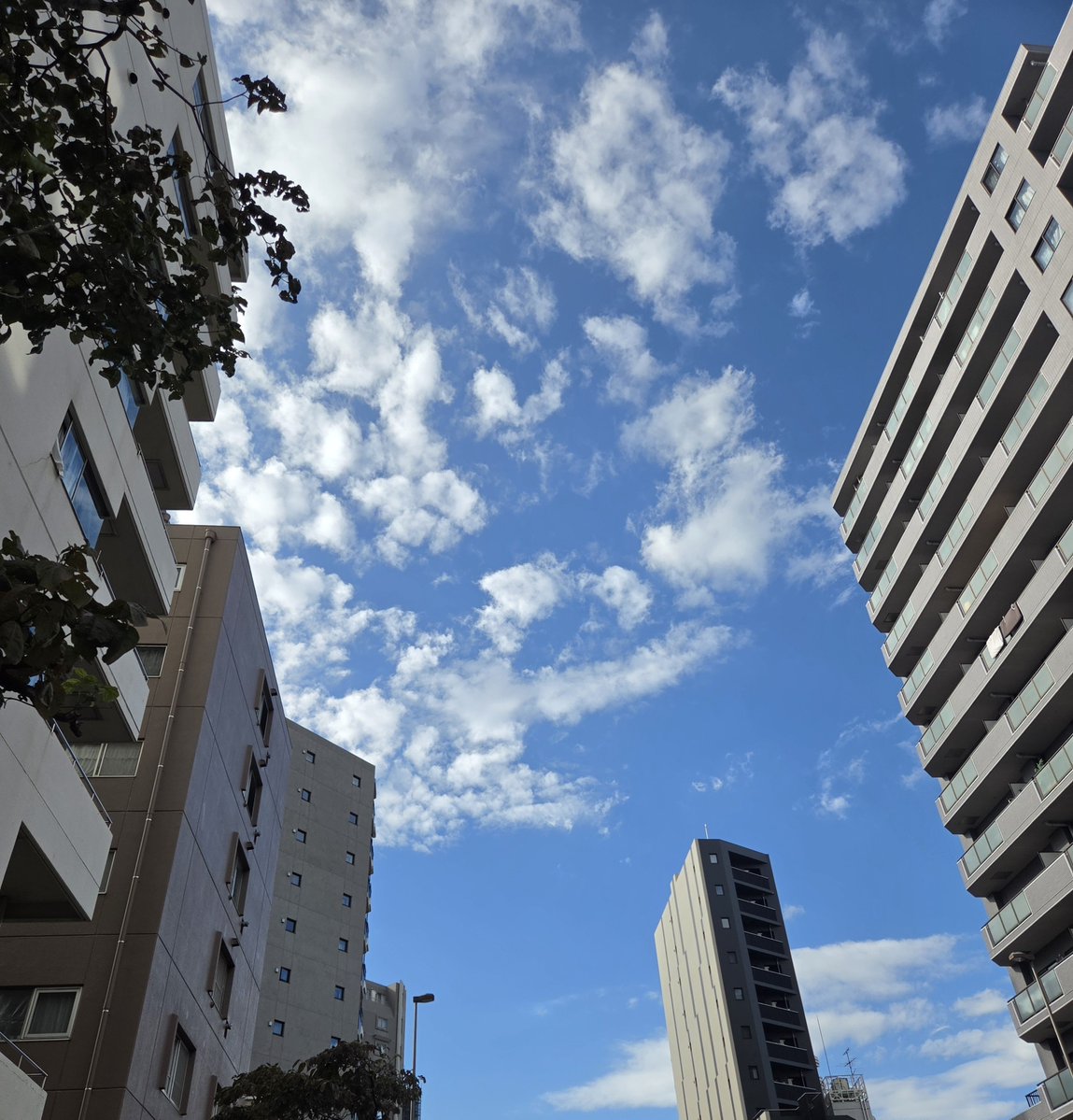 JpnSetsuko's tweet photo. The sky is high, 
The autumn is coming

🚴Today is good day for cycling https://t.co/feWS2SWheK