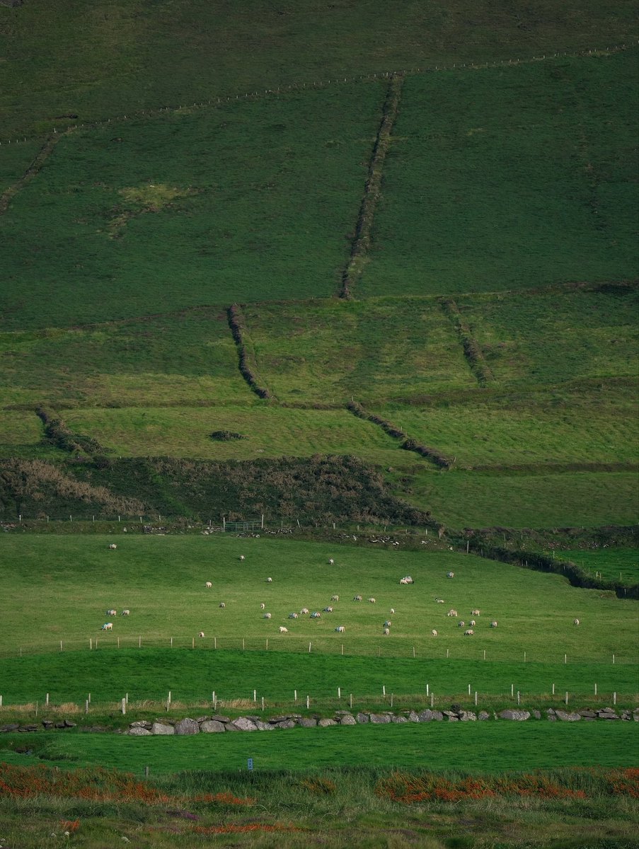 echoesofworld's tweet photo. Ireland https://t.co/zsEZ8q7g0Q