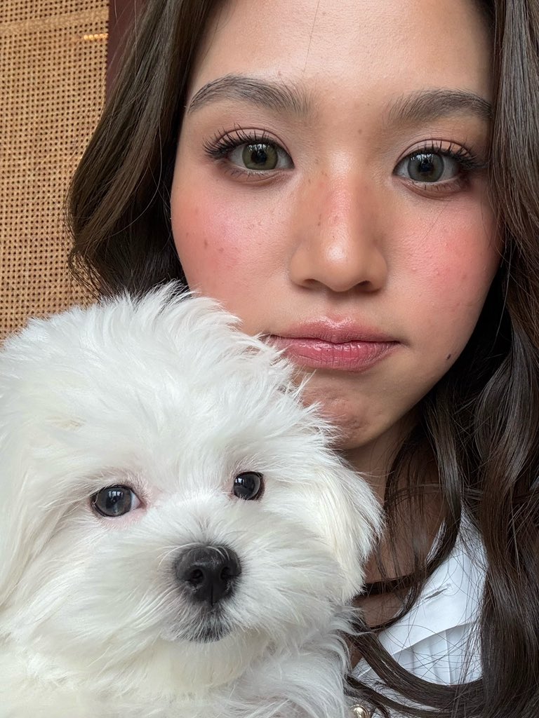 _allthelilies's tweet photo. emi's cute and beautiful paews https://t.co/I6kE3BgMsU